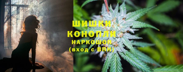 ECSTASY Бронницы